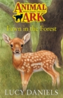 Fawn In The Forest - Book