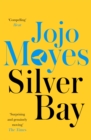 Silver Bay : 'Surprising and genuinely moving' - The Times - Book