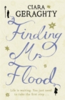 Finding Mr. Flood - Book