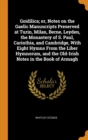 Goidilica; or, Notes on the Gaelic Manuscripts Preserved at Turin, Milan, Berne, Leyden, the Monastery of S. Paul, Carinthia, and Cambridge, With Eight Hymns From the Liber Hymnorum, and the Old-Irish - Book