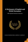 A Dictionary of English and Welsh Surnames : With Special American Instances - Book