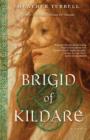 Brigid of Kildare - eBook