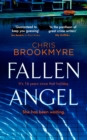 Fallen Angel - eBook