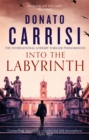 Into the Labyrinth - Book