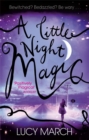 A Little Night Magic - Book