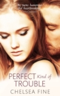 Perfect Kind of Trouble - Book