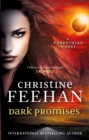 Dark Promises - eBook