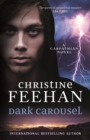 Dark Carousel - eBook