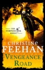 Vengeance Road - eBook