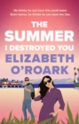 The Summer I Destroyed You - Book
