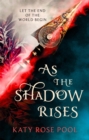 As the Shadow Rises : Book Two of The Age of Darkness - Book