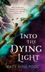 Into the Dying Light : Book Three of The Age of Darkness - eBook