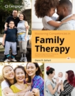Mastering Competencies in Family Therapy: A Practical Approach to Theories and Clinical Case Documentation - Book