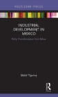 Industrial Development in Mexico : Policy Transformation from Below - Book