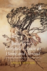 Jane Eyre's Fairytale Legacy at Home and Abroad : Constructions and Deconstructions of National Identity - Book