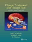 Chronic Abdominal and Visceral Pain : Theory and Practice - Book