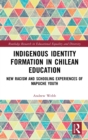 Indigenous Identity Formation in Chilean Education : New Racism and Schooling Experiences of Mapuche Youth - Book