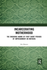 Incarcerating Motherhood : The Enduring Harms of First Short Periods of Imprisonment on Mothers - Book
