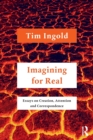 Imagining for Real : Essays on Creation, Attention and Correspondence - Book