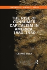 The Rise of Consumer Capitalism in America, 1880 - 1930 - Book