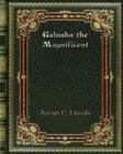 Galusha the Magnificent - Book