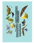 Quelques Papillons de Lomagne en Occitanie pour Artistes - Book