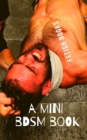 A Mini Bdsm Book - Book