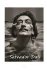 Salvador Dali - Book