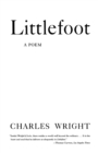 Littlefoot - Book