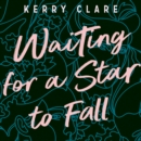 Waiting for a Star to Fall - eAudiobook