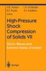 High-Pressure Shock Compression of Solids VII : Shock Waves and Extreme States of Matter - Book