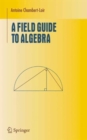 A Field Guide to Algebra - Book