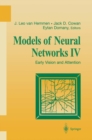 Models of Neural Networks IV : Early Vision and Attention - eBook