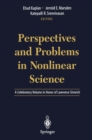 Perspectives and Problems in Nonlinear Science : A Celebratory Volume in Honor of Lawrence Sirovich - eBook
