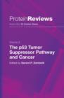 The p53 Tumor Suppressor Pathway and Cancer - Book