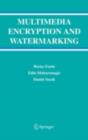 Multimedia Encryption and Watermarking - eBook