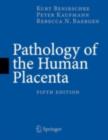 Pathology of the Human Placenta, 5th Edition - eBook
