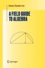 A Field Guide to Algebra - Antoine Chambert-Loir