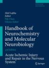 Handbook of Neurochemistry and Molecular Neurobiology : Acute Ischemic Injury and Repair in the Nervous System - Book