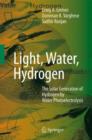 Light, Water, Hydrogen : The Solar Generation of Hydrogen by Water Photoelectrolysis - Book