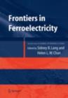 Frontiers of Ferroelectricity : A Special Issue of the Journal of Materials Science - Sidney B. Lang