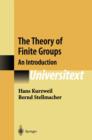 The Theory of Finite Groups : An Introduction - Book