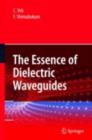 The Essence of Dielectric Waveguides - eBook