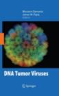 DNA Tumor Viruses - eBook