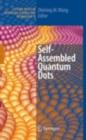Self-Assembled Quantum Dots - eBook