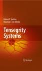 Tensegrity Systems - eBook
