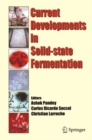 Current Developments in Solid-state Fermentation - eBook