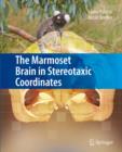 The Marmoset Brain in Stereotaxic Coordinates - eBook