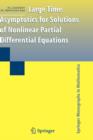 Large Time Asymptotics for Solutions of Nonlinear Partial Differential Equations - Book