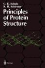 Principles of Protein Structure - Book